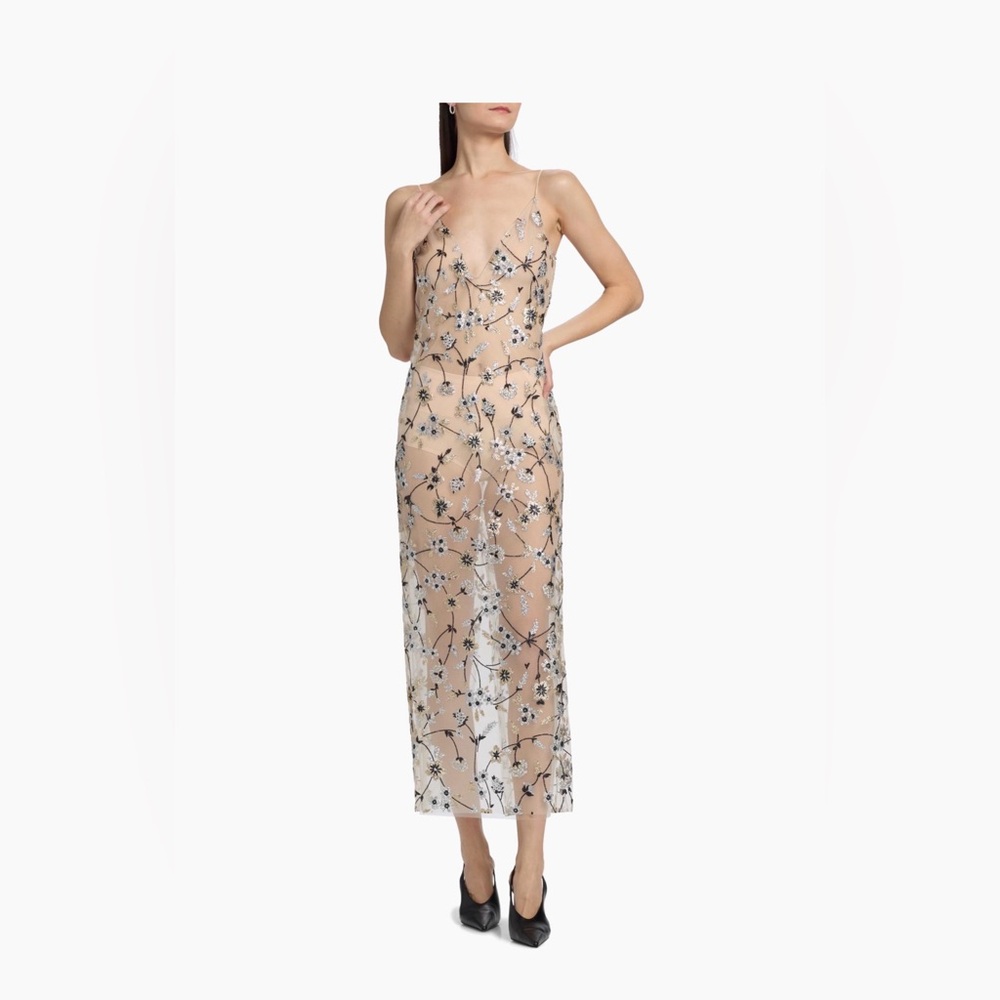 Rodarte Sheer Floral Embellished Dress